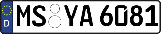 MS-YA6081