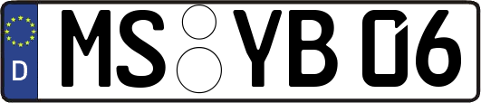 MS-YB06