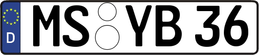 MS-YB36