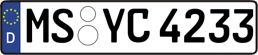 MS-YC4233