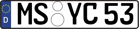 MS-YC53