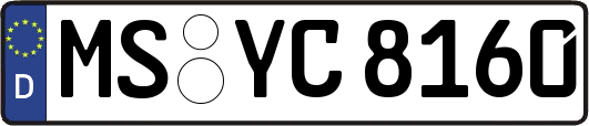 MS-YC8160