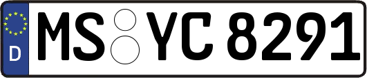 MS-YC8291