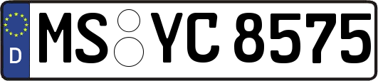 MS-YC8575