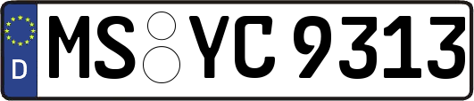 MS-YC9313