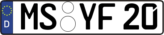 MS-YF20