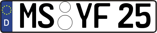 MS-YF25
