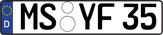 MS-YF35
