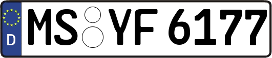 MS-YF6177
