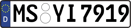 MS-YI7919