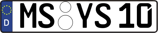 MS-YS10