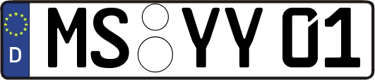 MS-YY01