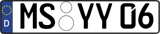 MS-YY06