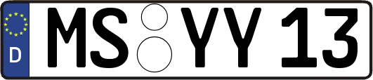 MS-YY13