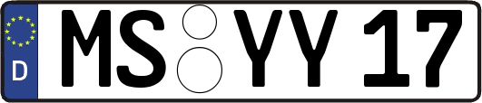 MS-YY17