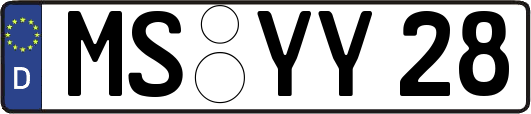 MS-YY28