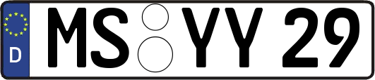 MS-YY29