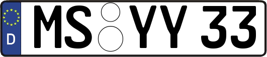MS-YY33
