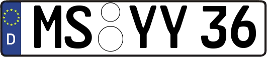 MS-YY36