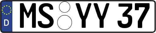 MS-YY37