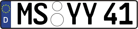 MS-YY41