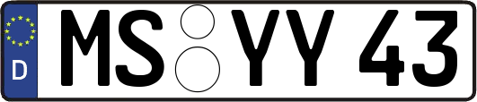 MS-YY43