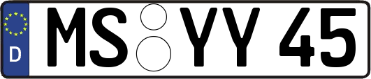 MS-YY45