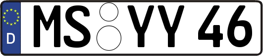 MS-YY46