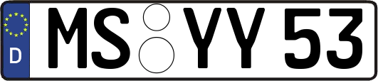 MS-YY53