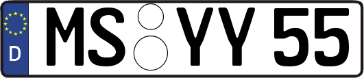 MS-YY55