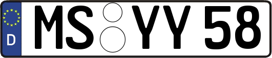 MS-YY58