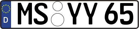 MS-YY65