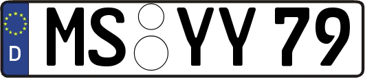 MS-YY79