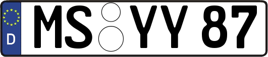 MS-YY87