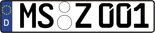 MS-Z001