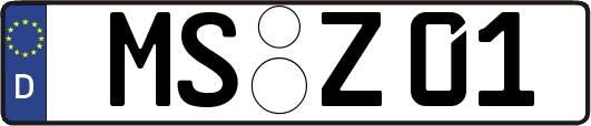 MS-Z01
