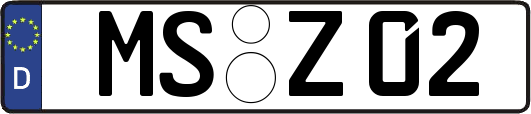 MS-Z02