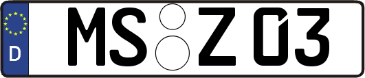 MS-Z03