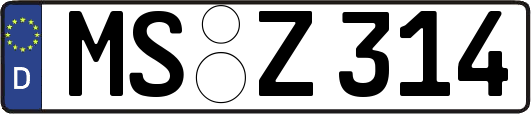 MS-Z314