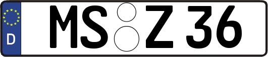 MS-Z36