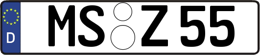MS-Z55