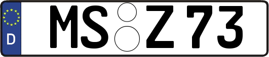 MS-Z73