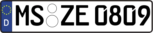 MS-ZE0809