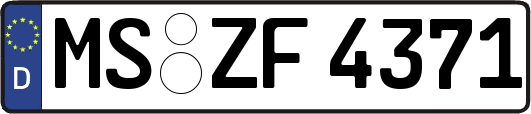 MS-ZF4371