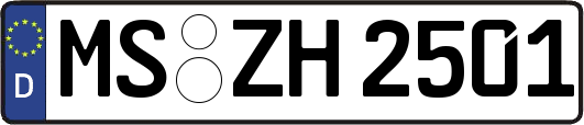 MS-ZH2501
