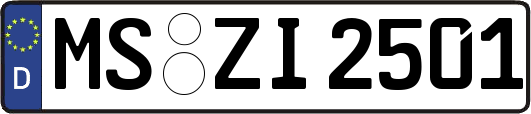 MS-ZI2501