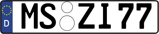 MS-ZI77