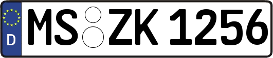 MS-ZK1256