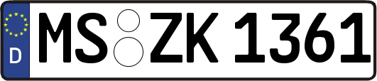 MS-ZK1361