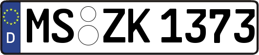 MS-ZK1373